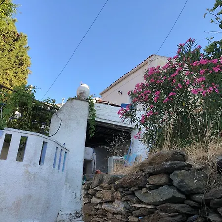 The Stegadi House בית נופש Ioulis